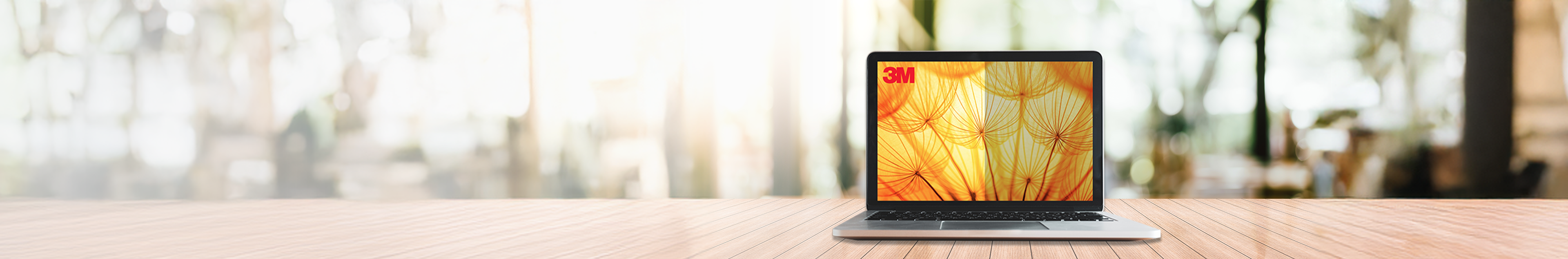 3M - Bright X COMPLY - Stop Data Breaches Before They Start