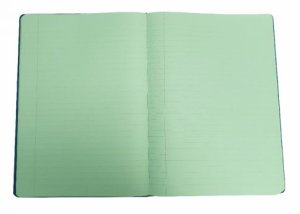 Hardback Irlen Notebook - A4 - Leaf Green