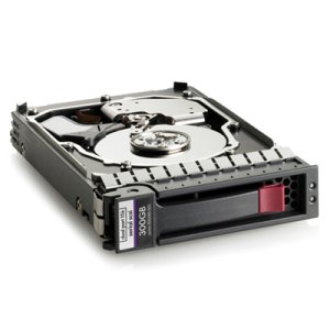 300GB 3.5" SAS 15000rpm