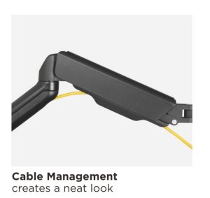 Equip 17"-32" Dual Monitor Wall-Mounted Bracket