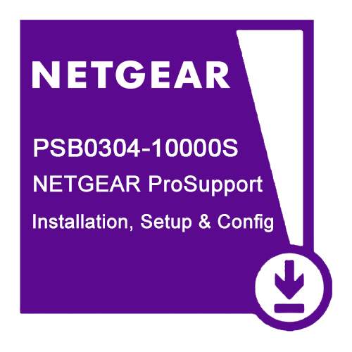 NETGEAR PSB0304 1 license(s)