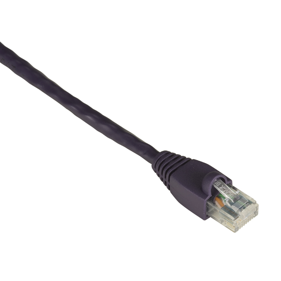 Black Box 0.3m UTP Cat6 networking cable Purple U/UTP (UTP)