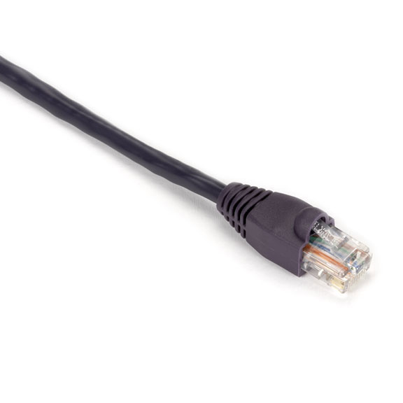 Black Box CAT5E networking cable Purple 2.1 m U/UTP (UTP)