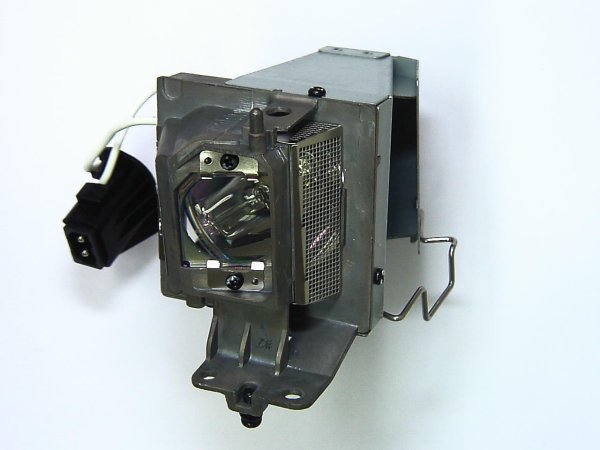 OEM Lamp 100014341