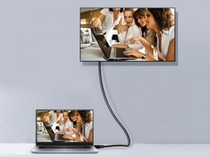 Equip DisplayPort 1.4 Cable, 5m