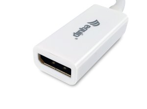 Equip Mini DisplayPort to DisplayPort adapter