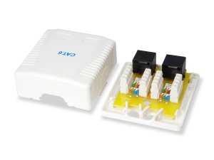 Equip 2-Port Cat.6 Surface Mount Box