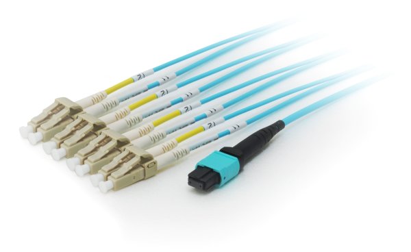 Equip MTP/MTP Trunk Fiber Optic Patch Cable, OM4, 5m