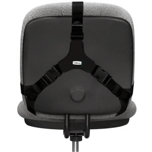 Fellowes Professional Series Ultimate Back Support