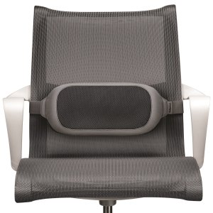 Fellowes I-Spire Series Lumbar Cushion