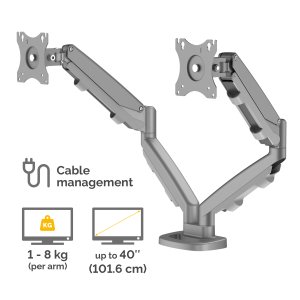 Fellowes Eppa Dual Monitor Arm - Monitor Mount for 8KG 40 inch Screens - Ergonomic Adjustable Monitor Arm Desk Mount - Tilt 90° Swivel 360° Rotation 360°, VESA 75 x 75/100 x 100 - Silver