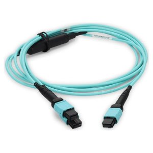 10m 2xMPO-16 (Female) to MPO (Female) 16-strand Aqua OM4 Crossover OFNR (Riser-Rated) Fiber Fanout Cable