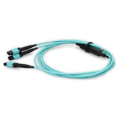 2m 2xMPO-16 (Female) to MPO (Female) 16-strand Aqua OM4 Crossover OFNR (Riser-Rated) Fiber Fanout Cable