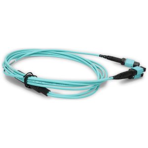 3m 2xMPO-16 (Female) to MPO (Female) 24-strand Aqua OM4 Crossover OFNR (Riser-Rated) Fiber Fanout Cable