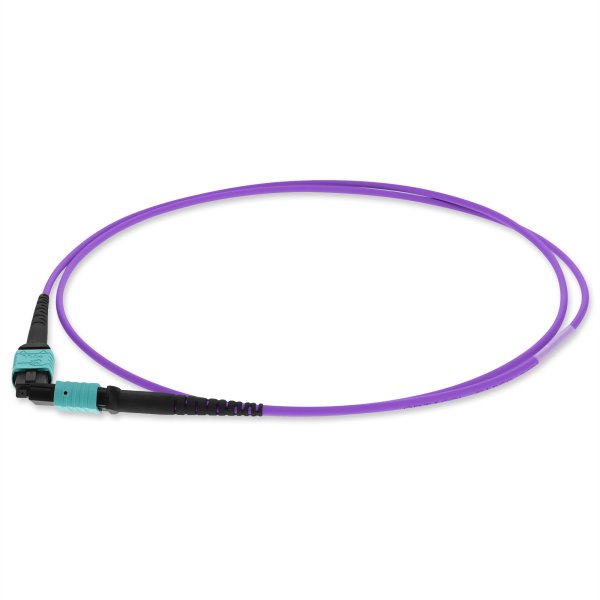 1m MPO (Female) to MPO (Female), 12-Strand, Violet, OM4 Crossover Fiber OFNR (Riser-Rated), Patch Cable