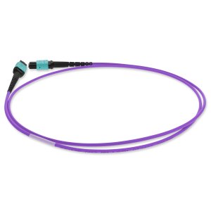 1m MPO (Female) to MPO (Female), 12-Strand, Violet, OM4 Crossover Fiber OFNR (Riser-Rated), Patch Cable