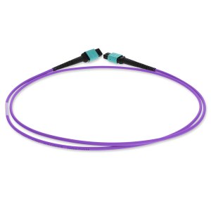 1m MPO (Female) to MPO (Female), 12-Strand, Violet, OM4 Crossover Fiber OFNR (Riser-Rated), Patch Cable