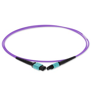 1m MPO (Female) to MPO (Female), 12-Strand, Violet, OM4 Crossover Fiber OFNR (Riser-Rated), Patch Cable