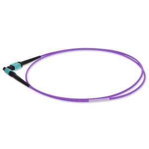 2 m, MPO (Female) to MPO (Female), 12-Strand, Violet, OM4, Crossover, Fiber OFNR (Riser-Rated), Patch Cable