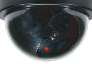 Conceptronic Dummy Dome Camera