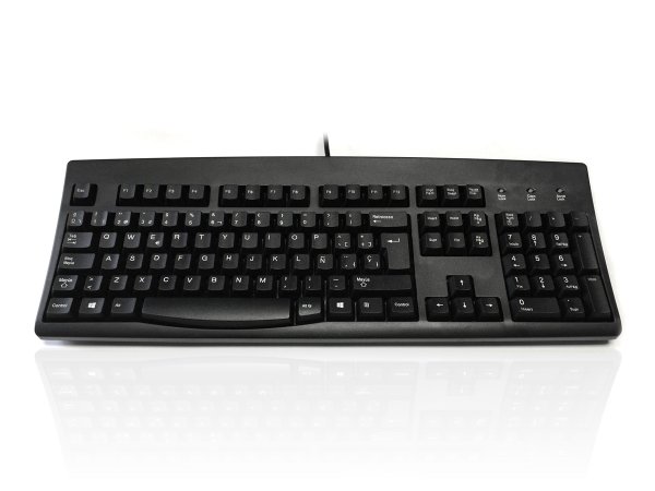 Accuratus 260 keyboard USB QWERTY Dutch Black