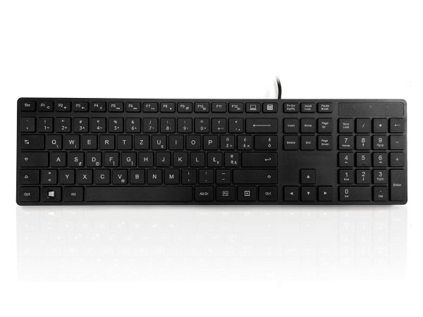 Accuratus KYBAC301-UBLK-PL keyboard USB QWERTZ Polish Black