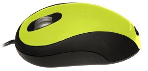 Ceratech Accuratus Image - mouse