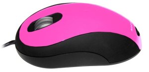 Ceratech Accuratus Image - mouse