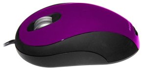 Ceratech Accuratus Image - mouse