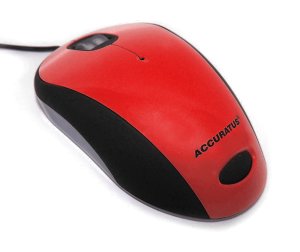 Ceratech Accuratus Image - mouse