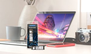 Hypertec FirestormLite 256GB M.2 2280 NVMe PCIe Gen 3x4 SSD; M keyed