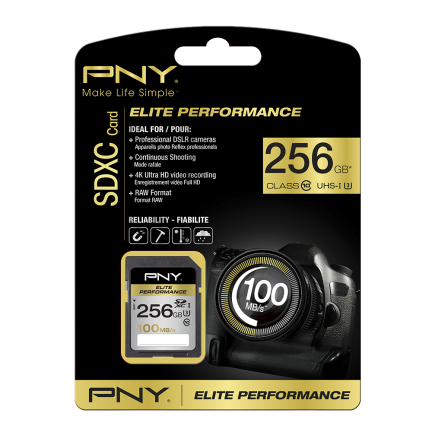 PNY 256GB SDXC class 10 UHS-I