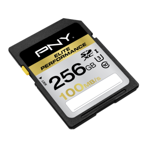 PNY 256GB SDXC class 10 UHS-I