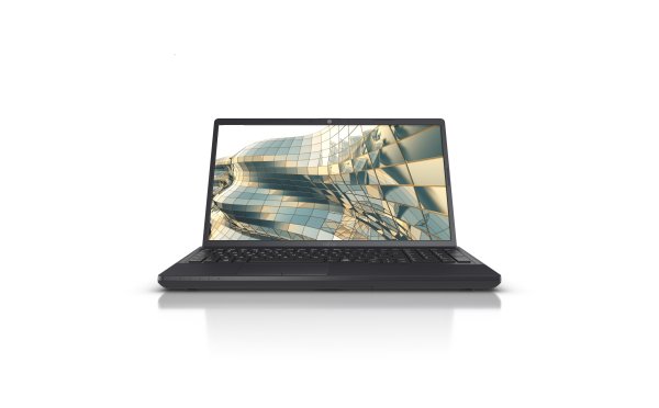 Intel Core i3-1005G1 (4MB Cache, 1.2GHz), 8GB DDR4-SDRAM, 256GB SSD, 39.6 cm (15.6") Full HD 1920 x 1080, Intel UHD Graphics, LAN, WLAN, Webcam, Windows 10 Pro 64-bit